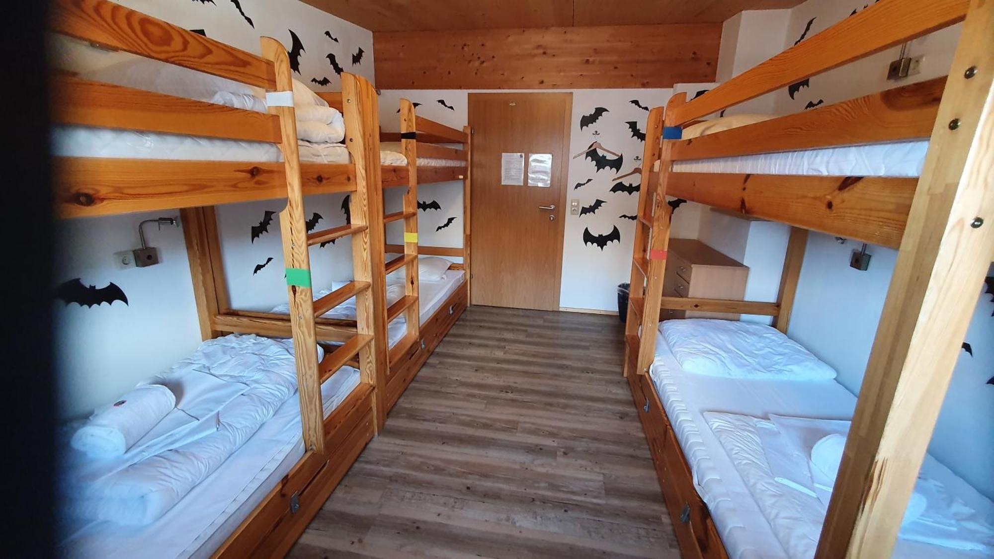 Hostel Alpking *